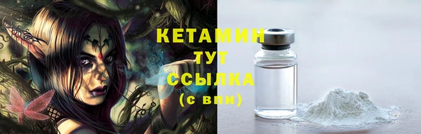 гидра Вяземский