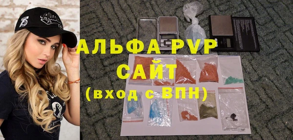 гидра Вяземский