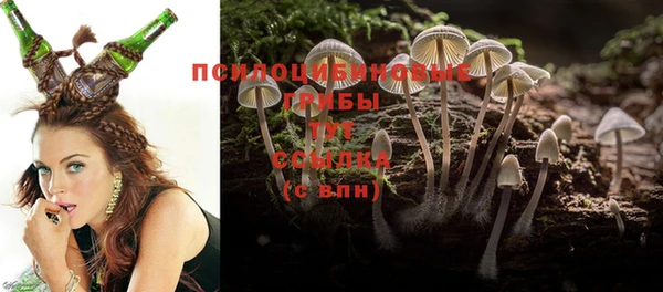 Альфа ПВП Верхний Тагил