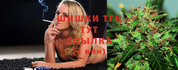 соль ск Бородино