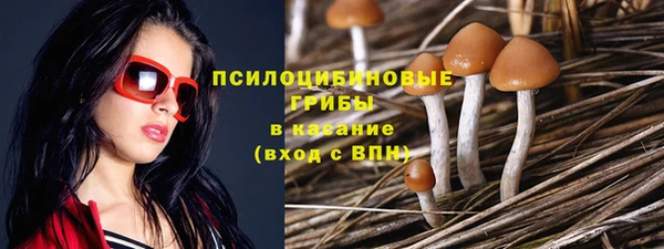 гидра Вяземский
