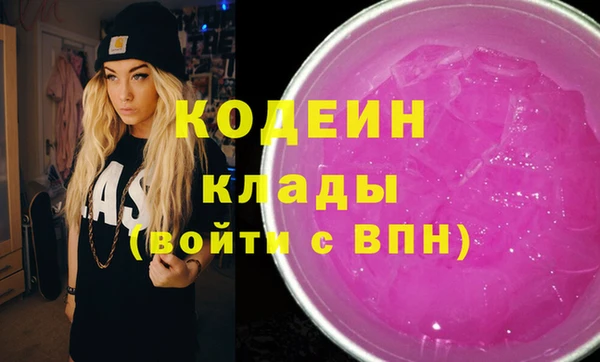 гидра Вяземский
